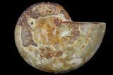 Sliced, Agatized Ammonite Fossil (half) - Jurassic #110752-1